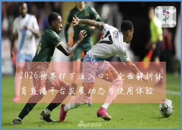 2026世界杯下注入口：全面解析体育直播平台发展动态与使用体验